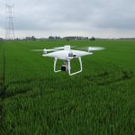 DJI P4 Multispectral + D-RTK 2 High Precision GNSS Mobile Station Combo - Image 8