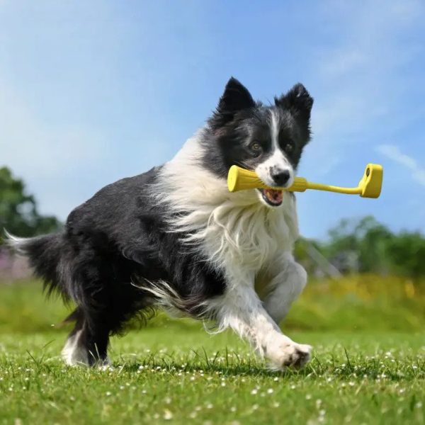 GO 3 Fetch Stick